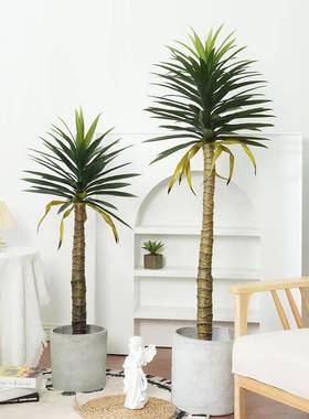 人造热带植物剑兰盆景大型仿真植物剑麻盆栽室内落地假绿植龙舌兰