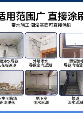 背水面防水材料内墙漏水反碱型背水压抗渗防水涂料地下室潮湿治水