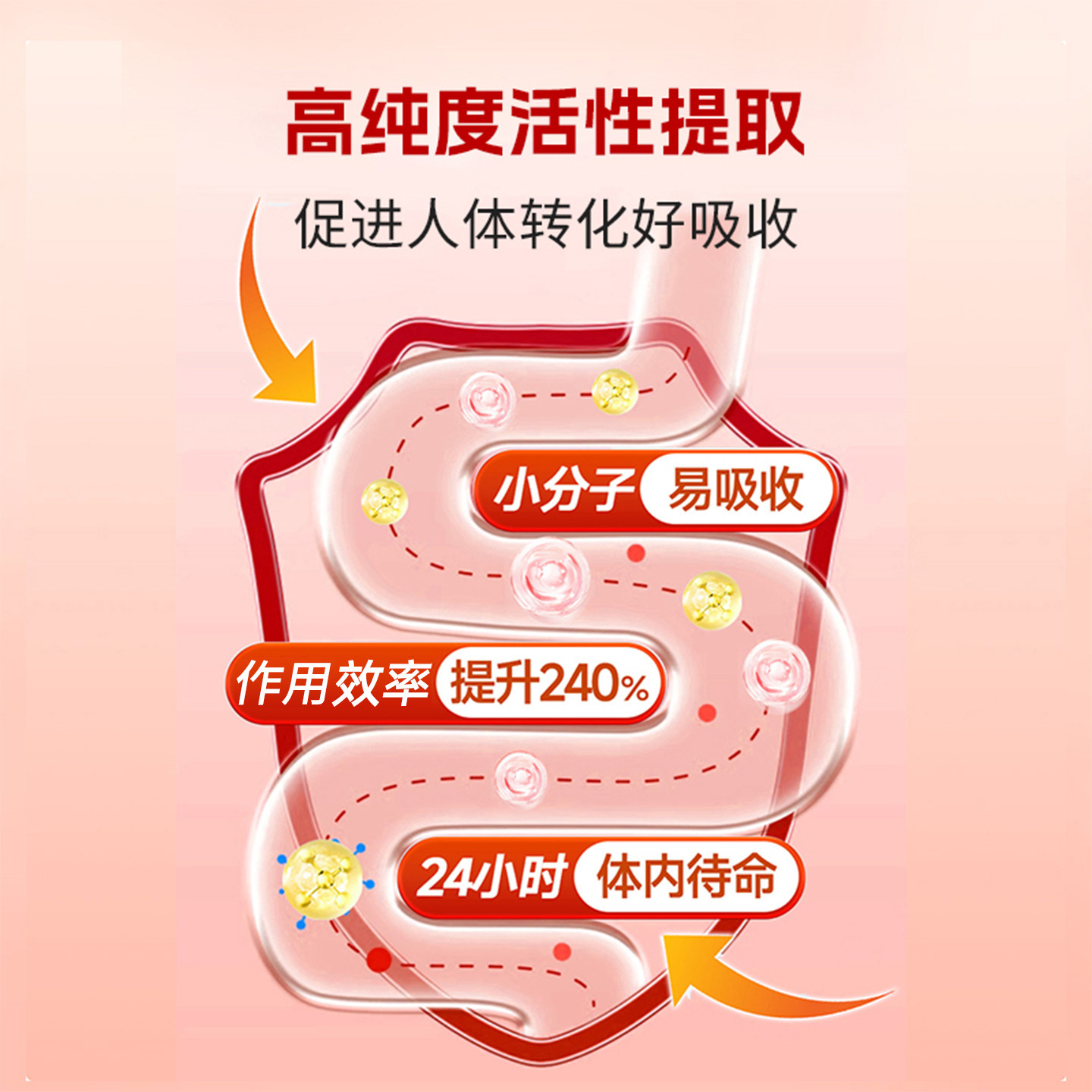 OAiAO新西兰进口纳豆激酶胶囊水蛭素红曲米提取物心脑血管保健品,淘宝优惠券,粉丝福利购,淘宝优惠卷