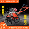 Four-wheel drive micro tiller, rotary tiller suitable for paddy fields and dry land, gasoline and diesel agricultural ditching tractor, W ridge wheel rotary
