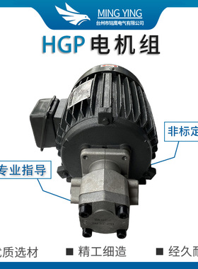 液压油泵电机组HGP-1A+1.5KW2.2KW总成内轴电机液压站配件系统