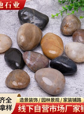 鹅卵石铺路造景雨花石庭院装饰抛光五彩石花盆鱼缸水池垫底雨花石