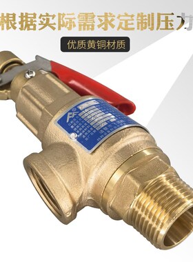 全铜安全阀A28W-16T空压机储气罐蒸汽锅炉泄压阀弹簧全启式可调压