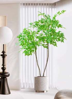 仿真植物南天竹落地盆栽室内大型仿生绿植摆件客厅轻奢装饰花假树