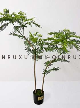 仿真植物盆栽双层叶蕨类盆景中式绿植客厅落地装饰摆件文竹家居