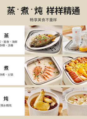 松雨不锈钢电蒸锅多功能s家用小型智能可预约定时全自动蒸煮一体