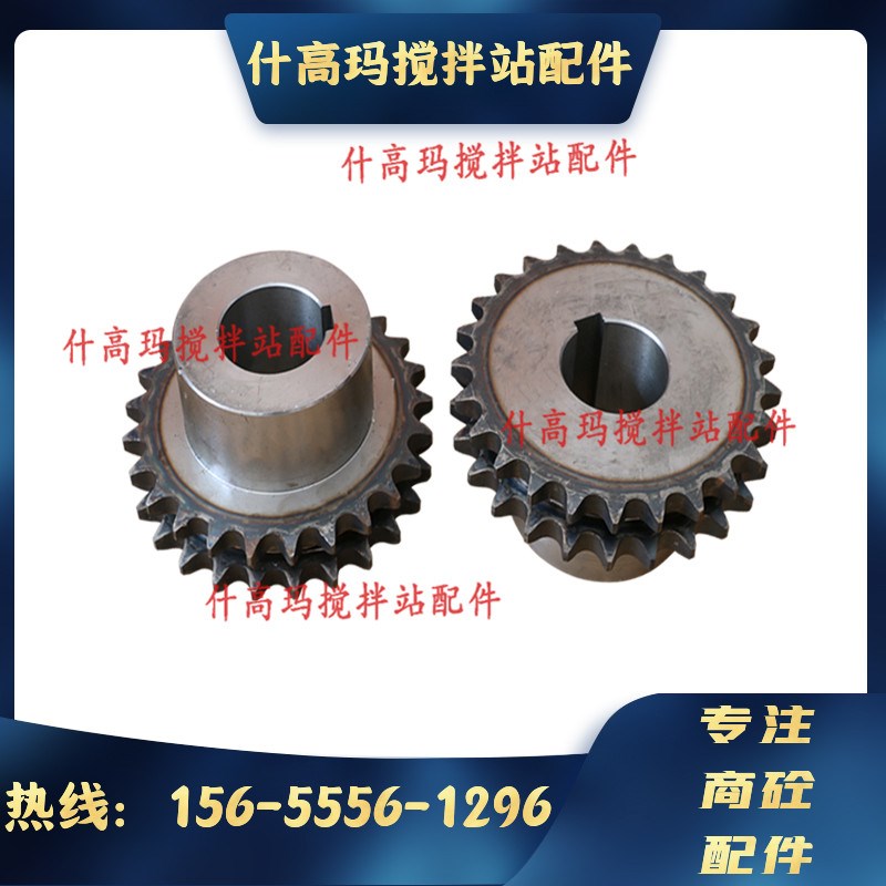 中联平皮带链轮/双排链轮链条/搅拌站25齿27齿三一平皮带双排链轮 - 图1