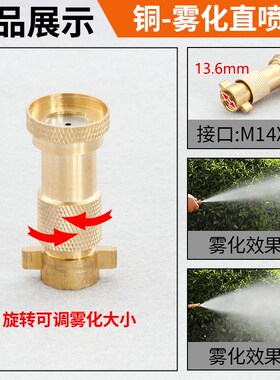 柱塞泵配件打药机雾化喷头喷雾器高压全铜喷嘴打药枪单三枪头家用