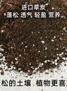 多肉营养土种菜养花绿萝透气种花泥土珍珠岩通用型种植花土壤家用