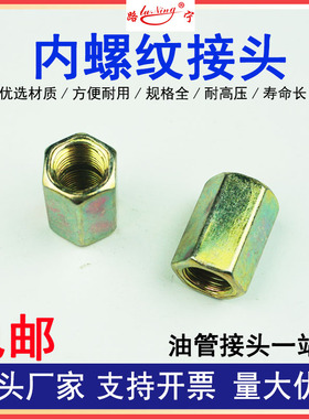 内螺纹接头双内丝直通内牙管接头内螺纹铜铁黄油枪管连接头钢配件