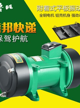 鸿韵附着式平板振动器水泥混凝土单相三相震动机建筑380V220V配件