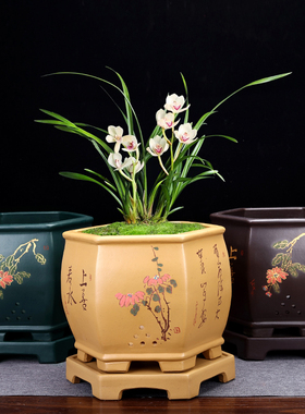 紫砂兰花盆高档手工六方陶瓷君子兰盆景盆室内桌面兰草盆带底座