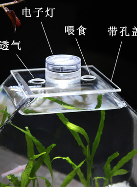 创意八边形玻璃鱼缸加厚玻璃透亮斗鱼缸桌面鱼缸小号热带鱼缸家用
