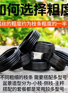 盆景造型铝丝蟠扎定型专用铝丝线盘扎用园艺绑扎丝园林吕铝条铝线