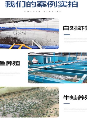 锦鲤鱼池水池大型鱼缸海水淡水大功率钛管加热棒水产养殖加热器管
