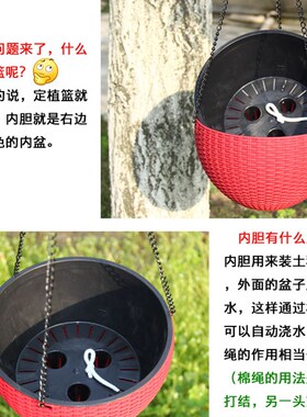 吊兰花盆垂吊悬挂式吊篮r花盆吊盆储水懒人自动吸水室内阳台吊花