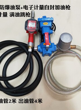12V24V220V手提式防爆加油泵汽油加油机计价计量油枪管组合抽油泵
