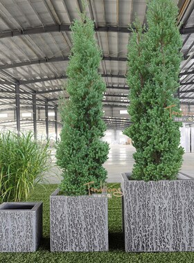 户外庭院花园玻璃钢花盆花器花y槽铁艺架办公商业空间绿植室内景