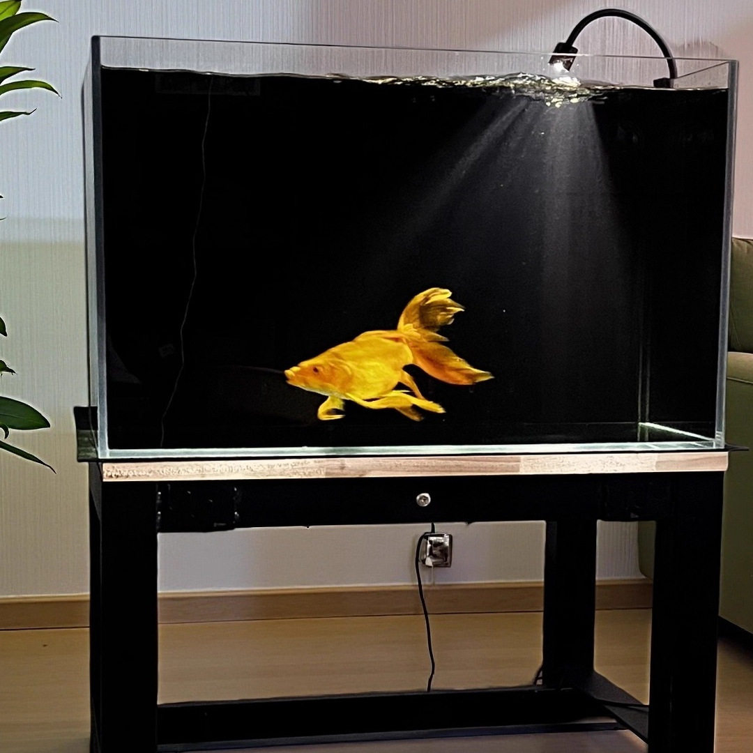 嘉赤60缸2025新款背过滤客厅桌面溪流生态观赏龙金鱼超白玻璃鱼缸 - 图0