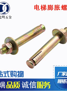 国标电梯专用膨胀螺栓镀彩锌电梯壁虎膨胀螺丝M12M16重型膨胀螺栓