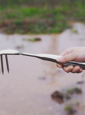 赶海耙子不锈钢挖蛤蜊花蛤贝壳海边专用多功能加长高硬铁钉耙工具