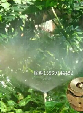 4分可调离心式铜微喷头 草坪园艺喷灌喷淋 园林低压雾化降温洒水