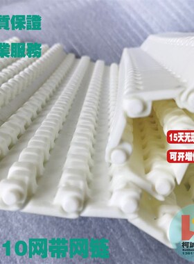 2510塑料网带平板白色输送带节距25.4mm传送带PP/POM材质输送网链