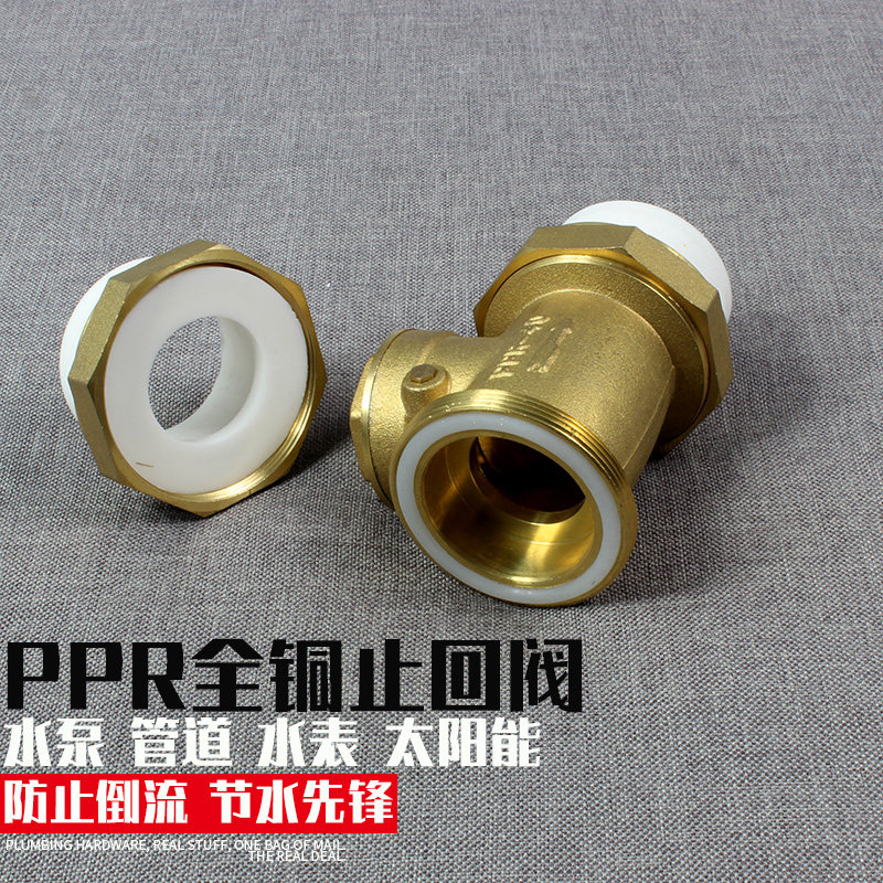 ppr止回阀全铜PE水表立卧式不锈钢马桶PVC烟水管道单向阀110热熔6,淘宝优惠券,粉丝福利购,淘宝优惠卷