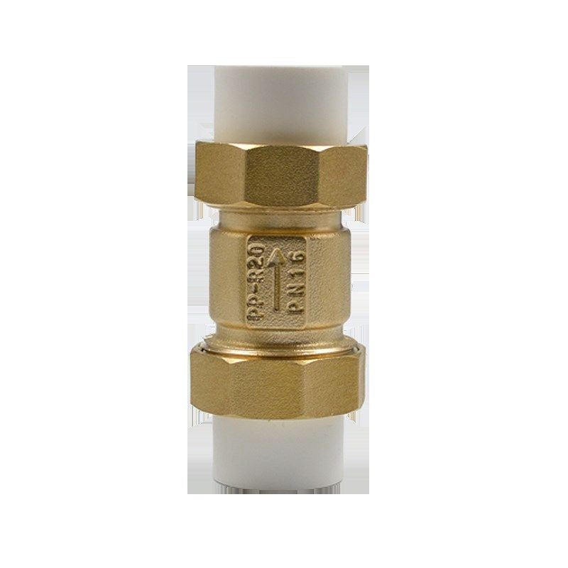 ppr止回阀全铜PE水表立卧式不锈钢马桶PVC烟水管道单向阀110热熔6,淘宝优惠券,粉丝福利购,淘宝优惠卷