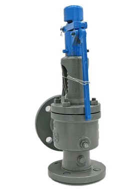 弹簧式安全阀A48Y-16C/25C/40C/64C新星锅炉储气罐蒸汽可调泄压阀