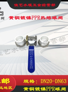 金美柯全铜PPR自来水管工程双头活接PPR铜球阀热熔阀门开关2025