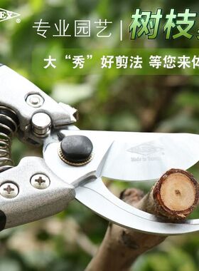 大力士园艺剪刀强力家用果树修枝剪进口多功能省力园林粗枝花剪子