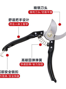 德国进口滑轮修枝剪省力粗枝剪日本SK5园艺果树修花嫁接专用剪刀