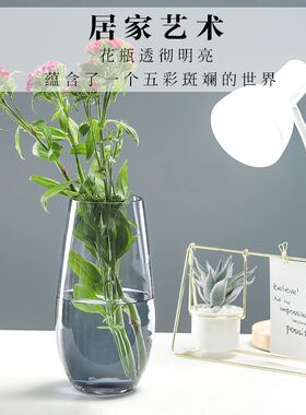 恐龙蛋花器 欧式玻璃彩色花瓶花插透明 客L厅餐桌装饰品工艺品摆