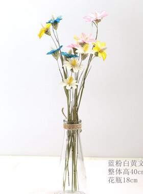 文心兰木槿花天然植物手工艺术干花家居装饰O插花摆件小清新小滨