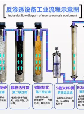 0.25~2吨级小型RO反渗透纯水设备工业去T离子水处理装置