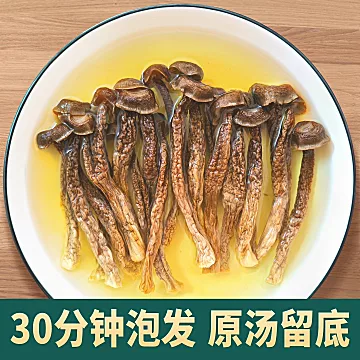 鹿茸菇干货香菇蘑菇云南脆脆菇[10元优惠券]-寻折猪