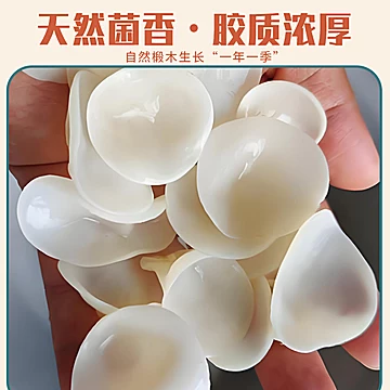 白玉木耳！无根小碗耳100g
