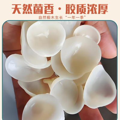 白玉木耳非特级东北长白山玉木耳小碗耳干净无根净重