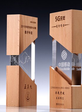 木质水晶奖杯奖牌定制抗疫情医护实木奖杯慈善奖杯志愿者纪念品