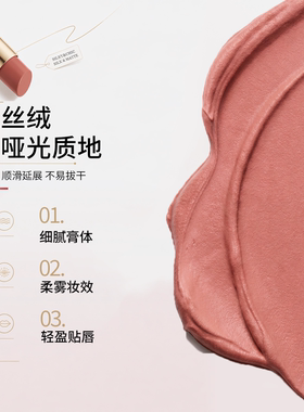 圣诗璐丝柔哑光口红持久不易沾杯