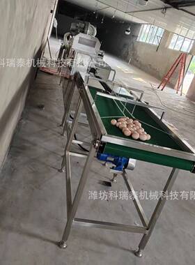 脏鸡蛋自动清洗机 单排洗蛋机 304不锈钢材质 产量5000-7000枚