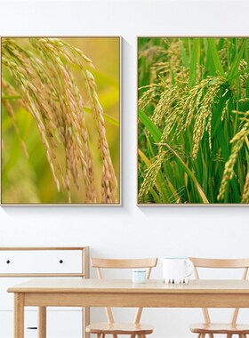 水稻丰收挂画客厅餐厅档背w景墙挂画玄关稻田装饰画五谷丰登挂画