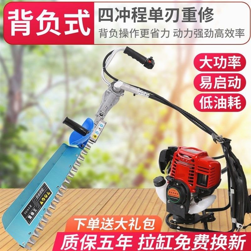 德国进口二冲程四冲程汽油绿篱机茶树修枝机大功率重修园林粗枝绿,淘宝优惠券,粉丝福利购,淘宝优惠卷