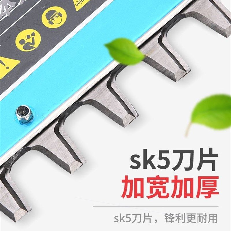 德国进口二冲程四冲程汽油绿篱机茶树修枝机大功率重修园林粗枝绿,淘宝优惠券,粉丝福利购,淘宝优惠卷