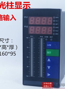智能数字显示控制仪单光柱测控仪液位显示器仪表双路显示上下限
