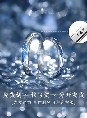 法国GVSEDUN可西里的海情