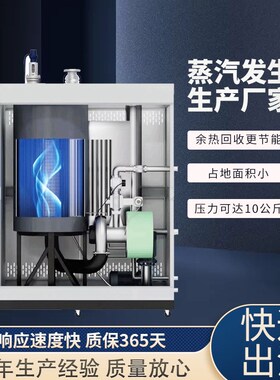 全自动燃气蒸汽j发生器洗涤熨烫酿酒0.3-1吨冷凝低氮蒸汽锅炉