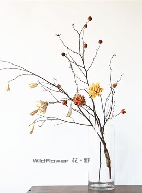陶瓷花瓶天然枯树枝干花干枝插花造型干支新中式R简约花艺装饰客