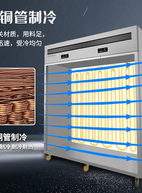 迈德挂肉柜商用保鲜柜鲜肉冷冻柜熟成G柜冷藏立式冷鲜肉排酸展示